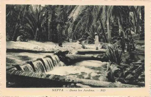 AK / Ansichtskarte Nefta Tunesie Dans les Jardins