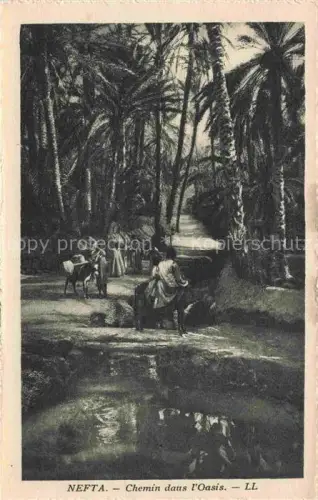 AK / Ansichtskarte Nefta Tunesie Chemin dans l'Oasis
