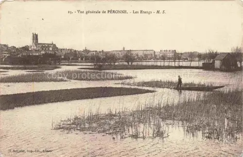 AK / Ansichtskarte PERONNE  80 Somme Vue générale et les étangs