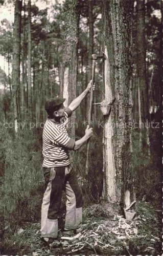 AK / Ansichtskarte Le Moulleau Arcachon 33 Gironde Le Gemmeur 