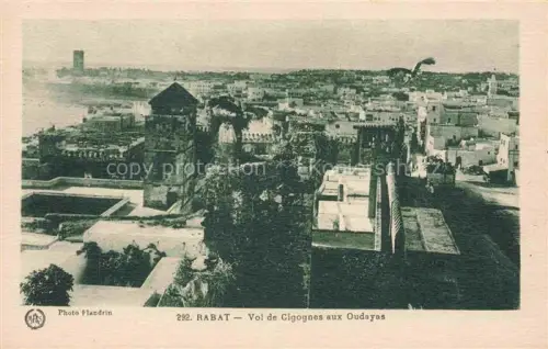 AK / Ansichtskarte RABAT  Maroc Vol de Cigognes aux Oudayas 
