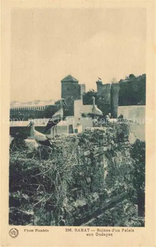 AK / Ansichtskarte RABAT  Maroc Ruines d'un Palais aux Oudayas Cigogne Stoerche 