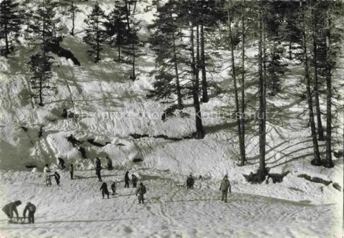 AK / Ansichtskarte La Colmiane Valdeblore NICE 06 Alpes-Maritimes la Combe 