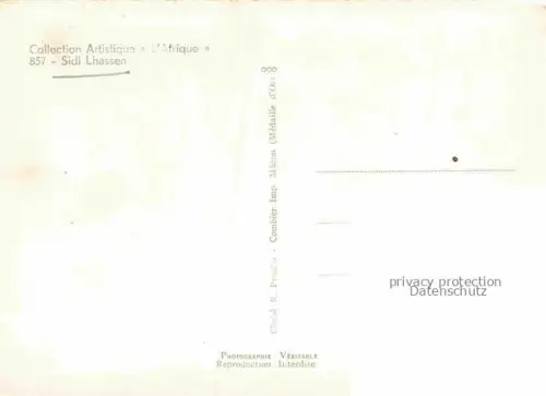 AK / Ansichtskarte Sidi-Lahssen Sidi-Lahcene Algerie L'Afrique du Nord Palme 