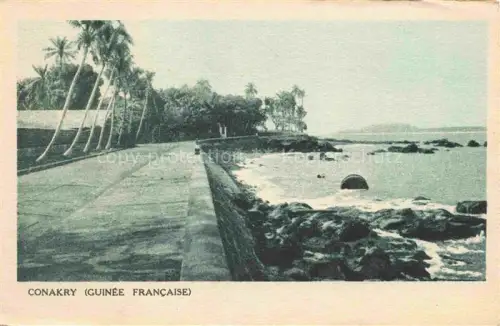 AK / Ansichtskarte Conakry Konakry Guinea Panorama