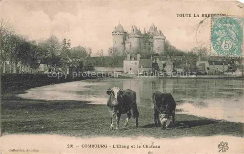 AK / Ansichtskarte Combourg Saint-Malo 35 Ille-et-Vilaine L'Etang de le Chateau