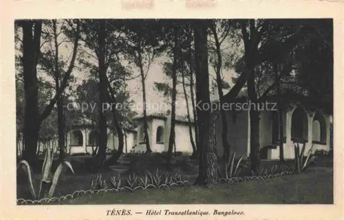 AK / Ansichtskarte Tenes Algerie Hotel Transatlantique Bungalows