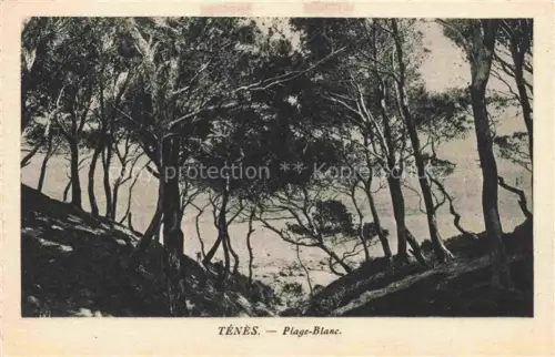 AK / Ansichtskarte Tenes Algerie Plage Blanc