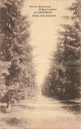 AK / Ansichtskarte Grignon Thiverval 78 Yvelines Ecole Nationale d'Agriculture Allee des Epiceas