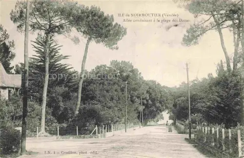 AK / Ansichtskarte Ile-de-Noirmoutier Sables-d Olonne 85 Vendee Allée conduisant à la plage des dames