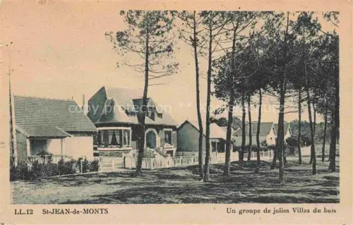 AK / Ansichtskarte St-Jean-de-Monts Les-Sables-d Olonne 85 Vendee Un groupe de jolies villas du bois