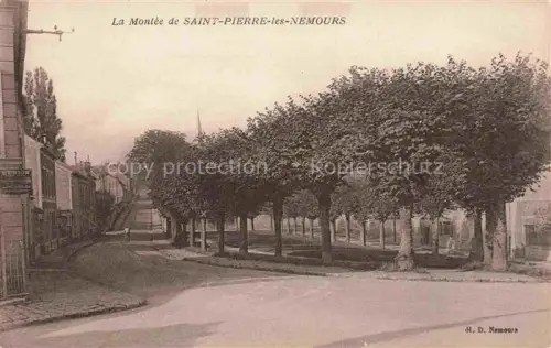 AK / Ansichtskarte Saint-Pierre-les-Nemours La Montee