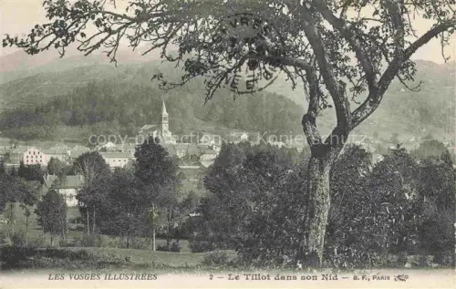 AK / Ansichtskarte Le Tillot Le Thillot Epinal 88 Vosges dans son Nid