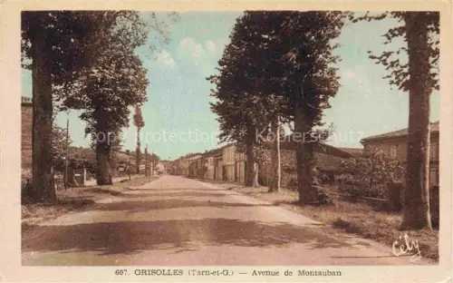 AK / Ansichtskarte Grisolles Montauban 82 Tarn-et-Garonne Avenue de Montauban