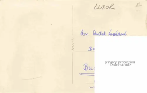 AK / Ansichtskarte LUXOR Louqsor Louksor Egypt Papyrus Pillars of Amenhotep III