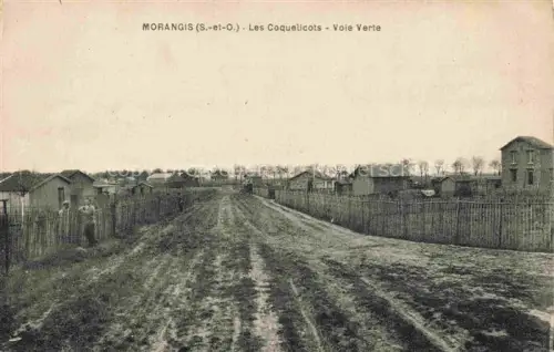 AK / Ansichtskarte Morangis  PALAISEAU 91 Essonne Les Coquelicots voie verte