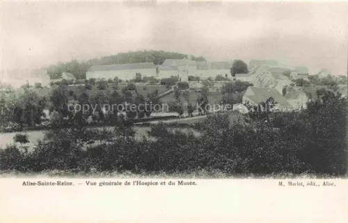 AK / Ansichtskarte Alise-Sainte-Reine Alesia Montbard 21 Cote-d Or Vue generale de l'Hospice et du Musee