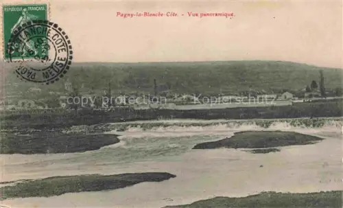 AK / Ansichtskarte Pagny-la-Blanche-Cote Commercy 55 Meuse Vue panoramique