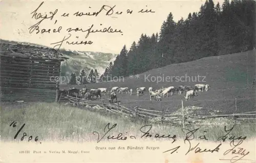 AK / Ansichtskarte Kuehe Gruss von der Buendner Bergen 