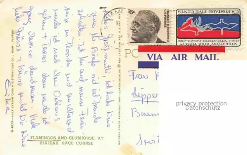 AK / Ansichtskarte Flamingos Flamants Roses Flamencos Fenicotteri-- Hialeah Park Miami Florida