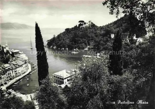 AK / Ansichtskarte PORTOFINO Liguria IT Mare Panorama