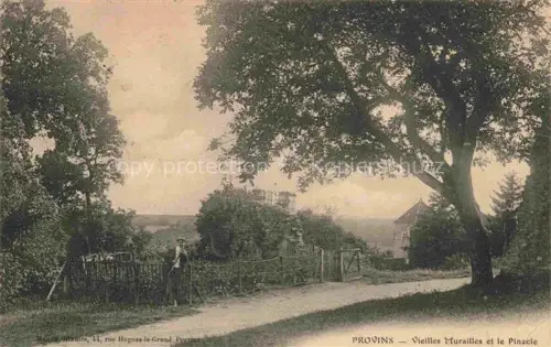 AK / Ansichtskarte PROVINS 77 Seine-et-Marne Vieilles Murailles et le Pinacle