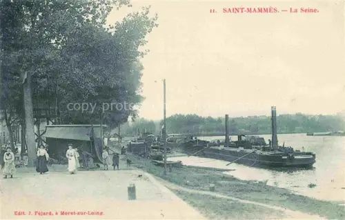 AK / Ansichtskarte Saint-Mammes Aux bords de la Seine