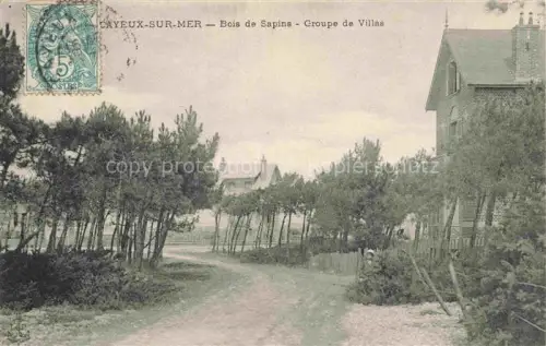 AK / Ansichtskarte CAYEUX -SUR-MER Abbeville 80 Somme Bois de sapins groupe de villas