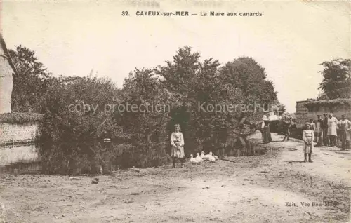 AK / Ansichtskarte CAYEUX -SUR-MER Abbeville 80 Somme La Mare aux canards