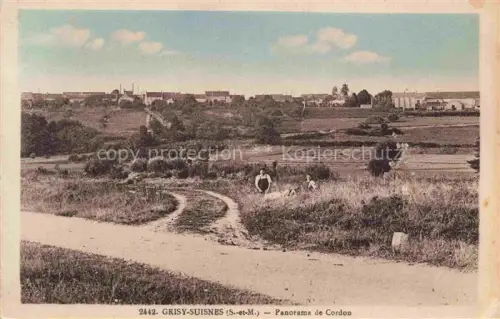 AK / Ansichtskarte Grisy-Suisnes MELUN 77 Seine-et-Marne Panorama de Cordon
