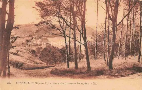 AK / Ansichtskarte Trestraou Perros-Guirec Lannion 22 Cotes-d Armor Vue prise travers les sapins