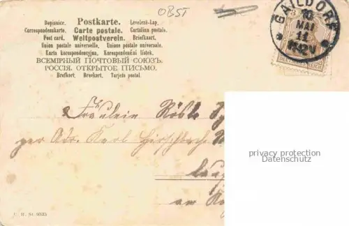 AK / Ansichtskarte Obst Fruit Frutta Fruta-- Trauben 