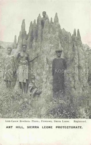 AK / Ansichtskarte Freetown  Sierra Leone Ant Hill Sierra Leone Protectorate