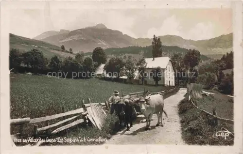 AK / Ansichtskarte Villard -de-Lans GRENOBLE 38 Isere Les Sapins et Cornafion
