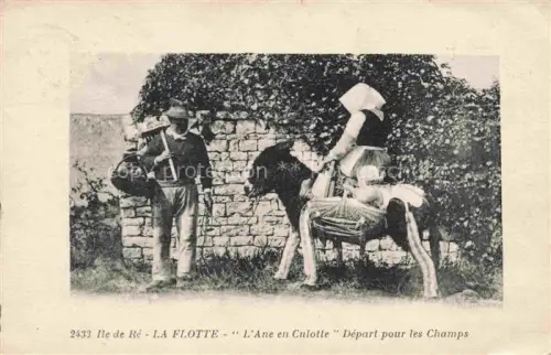 AK / Ansichtskarte La Flotte Ile de Re 17 Charente-Maritime L'Ane en Culotte Depart pour les Champs