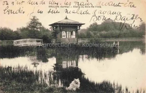 AK / Ansichtskarte Brulon LA FLECHE 72 Sarthe Etang du Bois de l'Isle