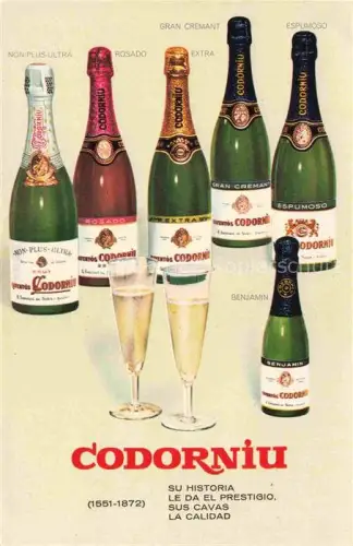 AK / Ansichtskarte Wein Wine Vin Vino-- Casa Codorniu San Sadurni de Noya Espana  