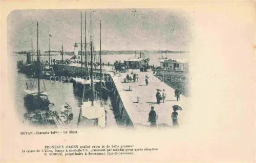 AK / Ansichtskarte ROYAN Poitiers-Charentes 17 Charente-Maritime Le Mole