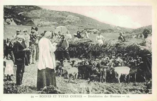 AK / Ansichtskarte CORSE  Corte Ile de Korsika Scenes et Types Corses Benediction des Moutons