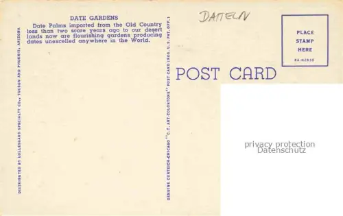 AK / Ansichtskarte Datteln Dates Datiles Datteri-- Palms Gardens Grove on the Desert 