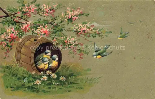 AK / Ansichtskarte Schwalben Swallow Hirondelle Golondria Voegel Birds Oiseaux Litho