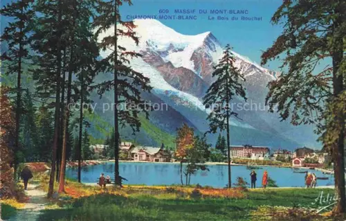 AK / Ansichtskarte CHAMONIX BONNEVILLE 74 Haute-Savoie Mont Blanc Massif Bois du Bouchet