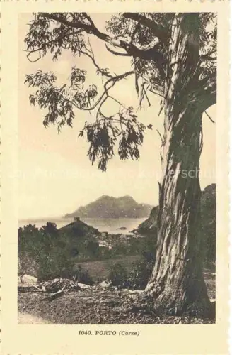 AK / Ansichtskarte Porto Corse Panorama