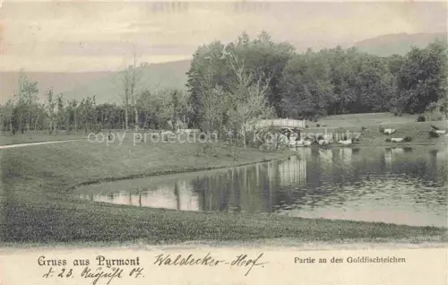 AK / Ansichtskarte Pyrmont BAD PYRMONT Partie an den Goldfischteichen