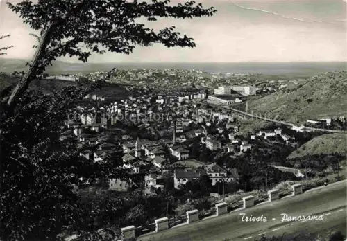 AK / Ansichtskarte TRIESTE Triest IT Panorama