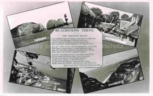 AK / Ansichtskarte Ventnor IOW Isle of Wight UK Blackgang Chine Details