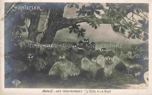 AK / Ansichtskarte Foto ELD Nr. Eulen Uhu les Nocturnes L'de a la nuit Chantecler 
