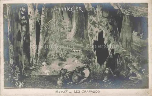 AK / Ansichtskarte Foto ELD Nr. Froesche les Crapauds Chantecler 