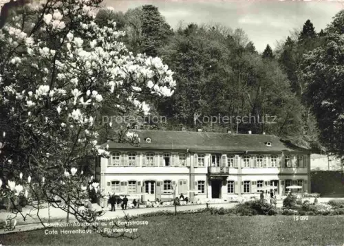 AK / Ansichtskarte Auerbach Bergstrasse Bensheim Hessen Hotel Pension Café Herrenhaus im Fuerstenlager Baumbluete