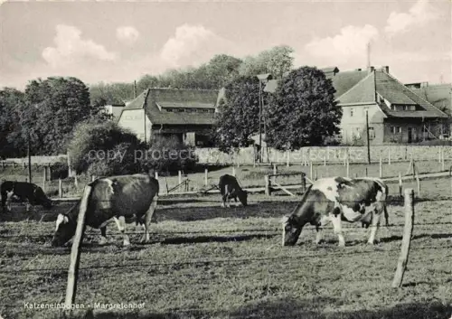 AK / Ansichtskarte Katzenelnbogen Margretenhof Viehweide Kuehe